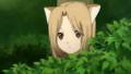 �輷�� �ҸѤΤܤ���