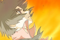 PHASE-49 �쥤
