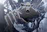 Episode-18 �����ƥ��֥륰�η�