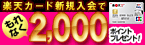 ��ŷ�ޥ͡������ӥ�