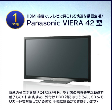 Panasonic VIERA 42��
