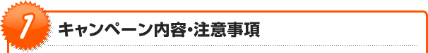 キャンペーン内容