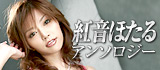 紅音ほたる アンソロジー