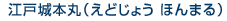 ���;��ܴݡʤ��ɤ��礦 �ۤ�ޤ��