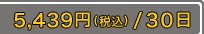 5,439�ߡ��ǹ���/30����