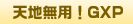 天地無用GXP