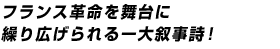 �ե�󥹳�̿������˷��깭����������������