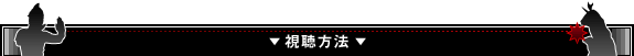 視聴方法