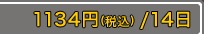 1134�ߡ��ǹ��ˡ�14��