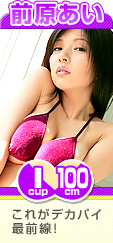 �������� I 105cm ���줬�ǥ��ѥ���������
