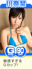 ������ G 90cm �Ҵ�������ǥ��åס�