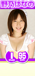 ��ǵ�Ϥʤ� I 95cm ���դ���cup��