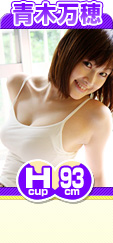 �������� H 93cm �ϥ�Τ���ͥ�����Х��ȡ�