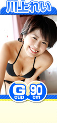 ���줤 �� 90cm �����ߤ��Ƥ��ޤ����ΰ�ࡣ