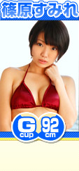 �ĸ����ߤ� �� 92cm ͽ�۳��������ܥǥ���