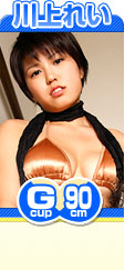 ���줤 �� 90cm ̵�����᤮���cup����