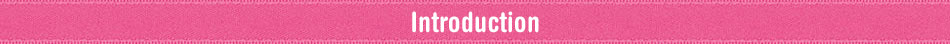 Introduction