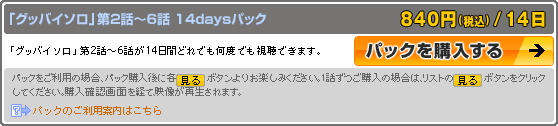 パック購入説明