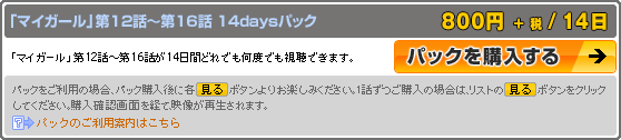 パック購入説明