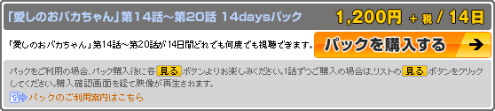 パック購入説明