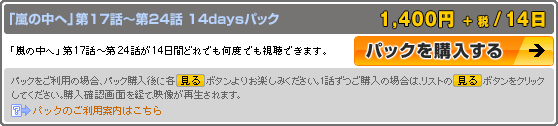 パック購入説明