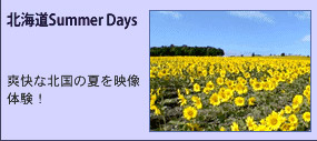 �̳�ƻSummer Days