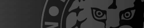 njpw.tv