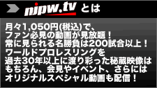 njpw.tvとは