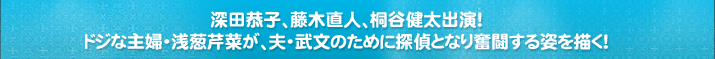 深田恭子、藤木直人、桐谷健太出演! ドジな主婦・浅葱芹菜が、夫・武文のために探偵となり奮闘する姿を描く!