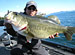 ��¼���� GREAT LUNKER HUNTER