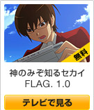 ���Τߤ��Τ륻������FLAG. 1.0
