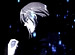 LOVELESS����11�á�WARLESS