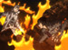 ZETMAN����2�á���ϡ�����