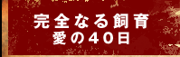 �����ʤ���顡����40��