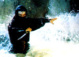龍の忍者
