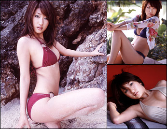 ��ƣ������ �ǥ�����̿�����AQUA��