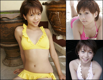 ��misty�����������ǥ�����̿���
