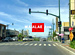 WORLD STREET���ϥ磻 Waialae Ave.�ʥ磻���饨���������˥塼��