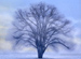 MusicTherapy �� �ڤ��ʤ���ζ��������ե롼�Ȥȥ������ˤ�륯�饷�å���