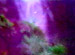 HEALING TANK��24HOURS��UFO HELP��