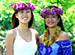 Hawaiian Express���������硡�ϥ磻���󡦥쥤����������֥����ý�