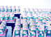 �֥ޥȥ��˥᡿B�ӡ�