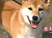 ��󤳤ξ롧�Ƹ�