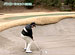 ���Ͻ�ɧ�Υե��󥯥���ʥ르��ա�#24 �Х󥫡�����åȤδ���