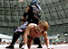 DRAGON GATE ̵���� 2010.5.30 AGGRESSIVE GATE���ǽ���� �ᥤ�󥤥٥��