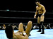 PANCRASE ���������֥�