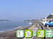 Beach Combing on TV #07 ���ҡ������