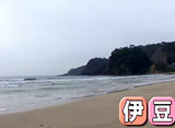 Beach Combing on TV #08 ��Ʀ��