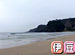 Beach Combing on TV #08 ��Ʀ��