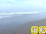 Beach Combing on TV #10 �;����Ų�������